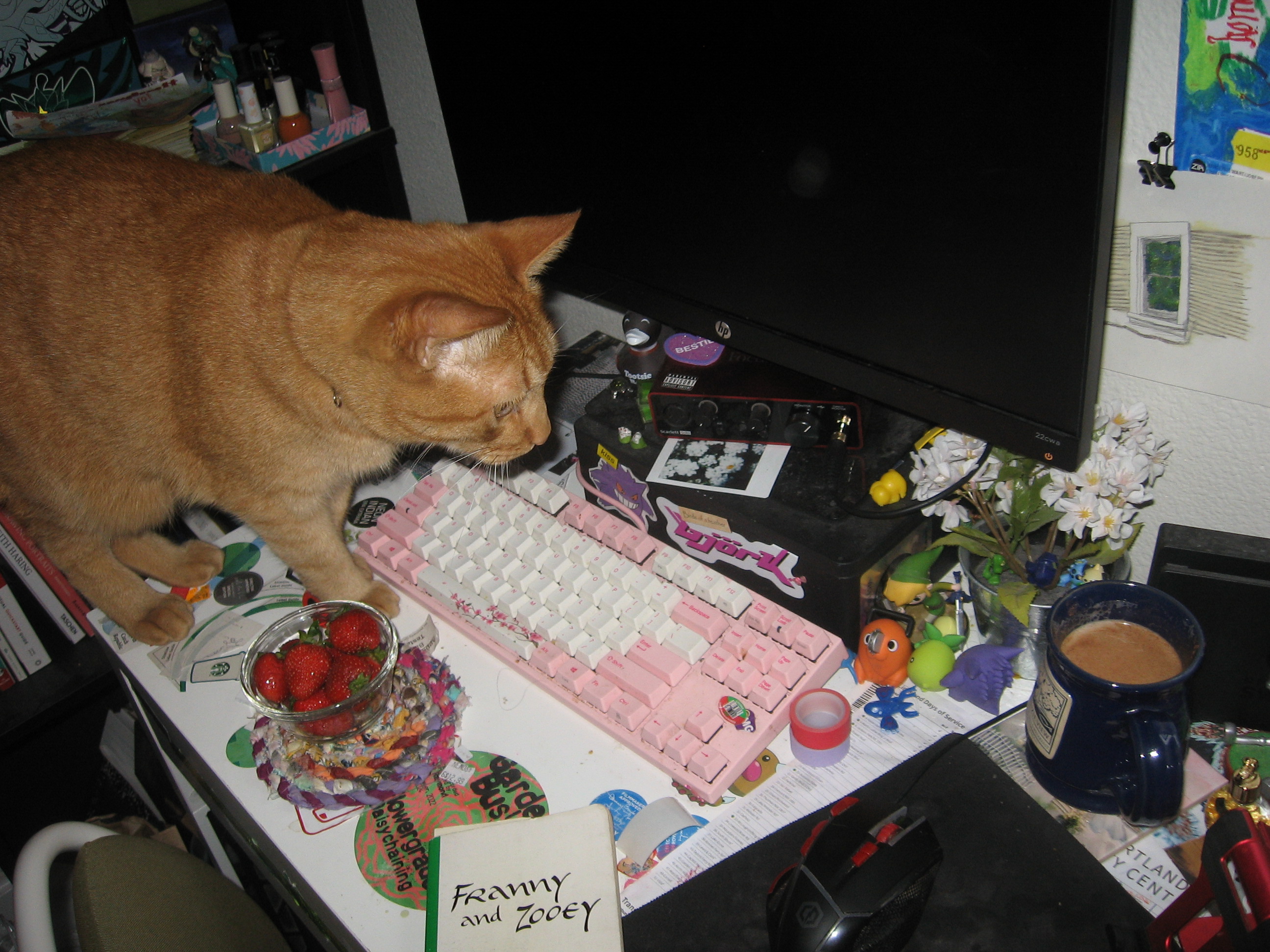 Messy desk setting with a J.D. Salinger book, bowl of fresh strawberries, mug of chai, computer keyboard, about a billion trinkets, and my deeply-orange cat, Cheeto, stomping about.